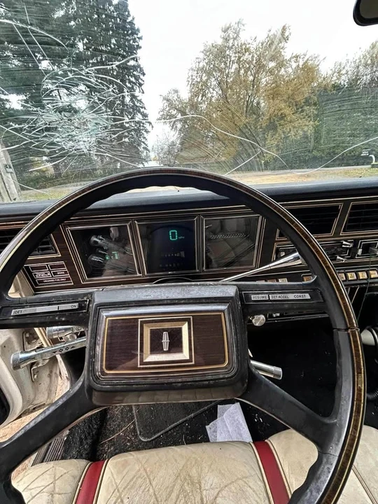 1981 Lincoln Continental Mark VI - Image 13 of 20