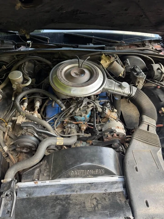 1981 Lincoln Town Car - Image 13 of 13
