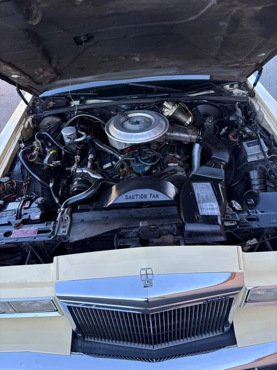 1981 Lincoln Town Car - Image 10 of 14