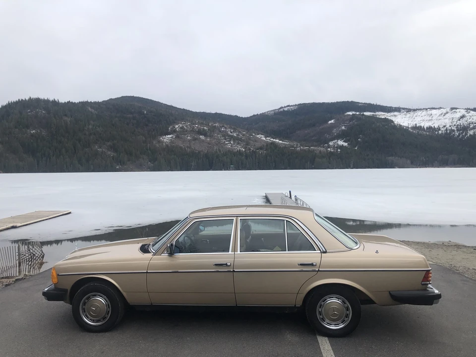 1981 Mercedes-Benz W123 Sedan - Image 8 of 31