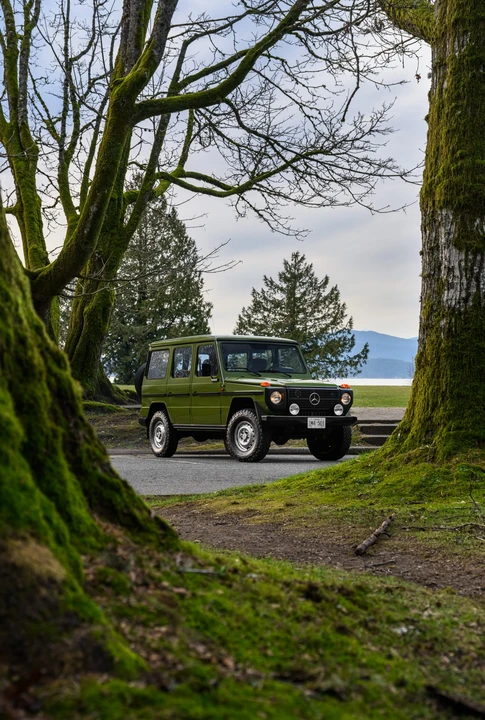 1981 Mercedes-Benz W460 G-Class - Image 11 of 31