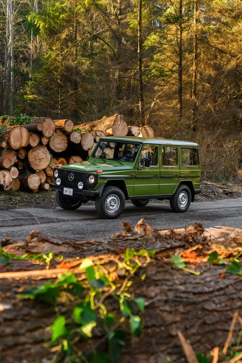 1981 Mercedes-Benz W460 G-Class - Image 4 of 31