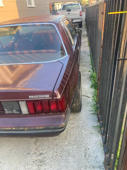 1981 Ford Mustang 3rd Gen - Image 6 of 15