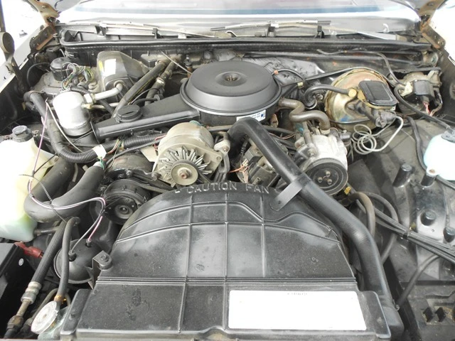 1981 Oldsmobile Cutlass 5th Gen - Image 3 of 5