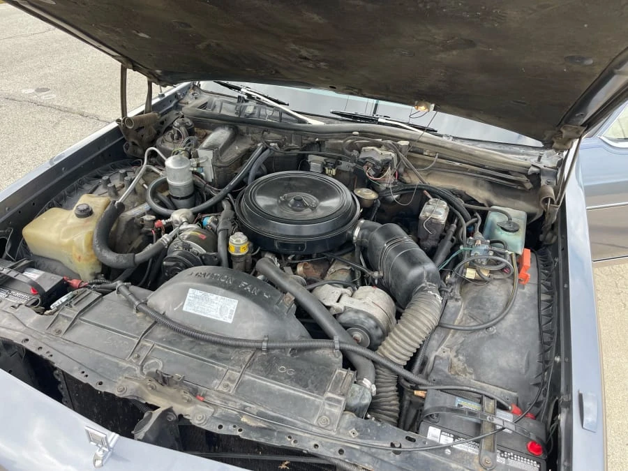 1981 Oldsmobile 98 - Image 14 of 14