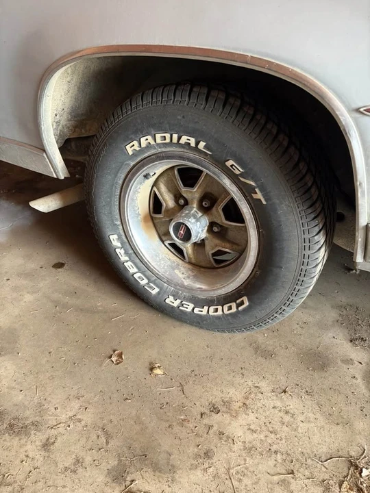 1981 Oldsmobile Cutlass 5th Gen - Image 11 of 12