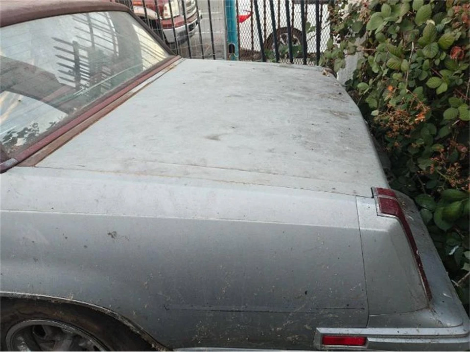 1981 Oldsmobile Cutlass 5th Gen - Image 10 of 11