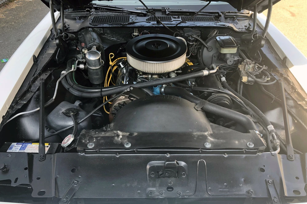 1981 Pontiac Firebird 2nd Gen - Image 3 of 4
