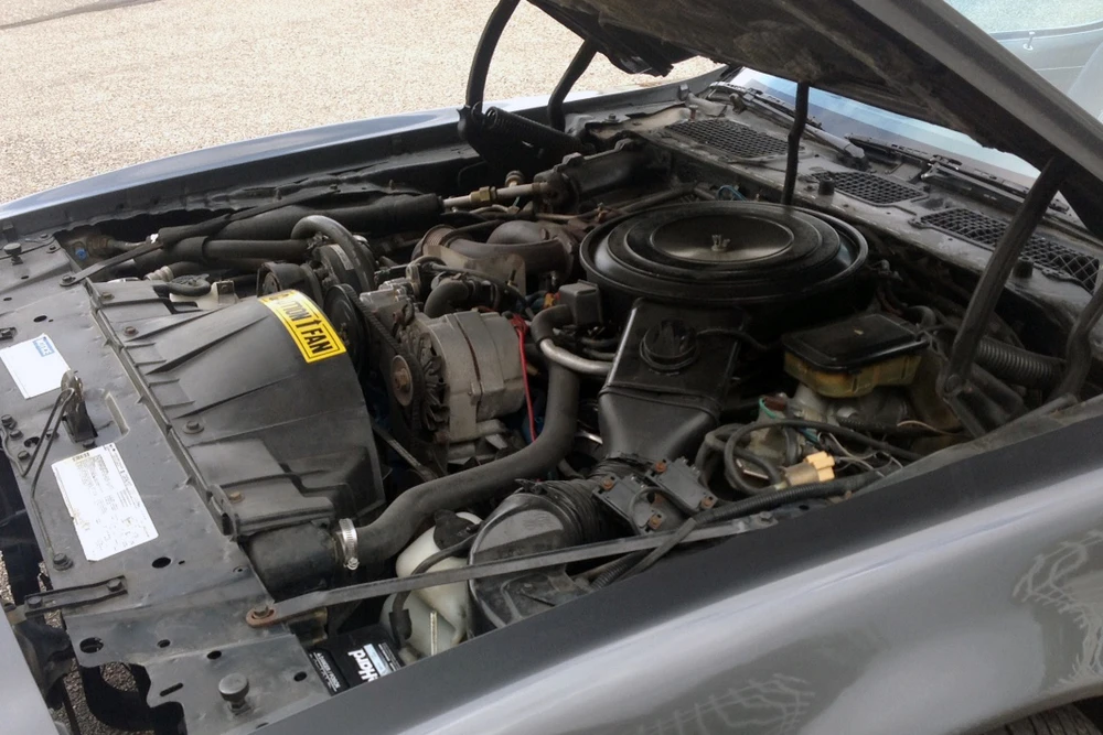 1981 Pontiac Firebird 2nd Gen - Image 3 of 5
