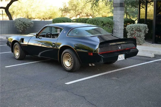 1981 Pontiac Firebird Trans Am Y84 WS6