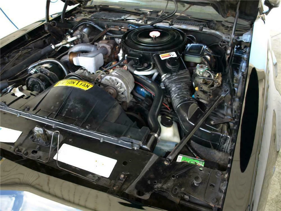 1981 Pontiac Firebird Trans Am 2nd Gen - Image 3 of 4