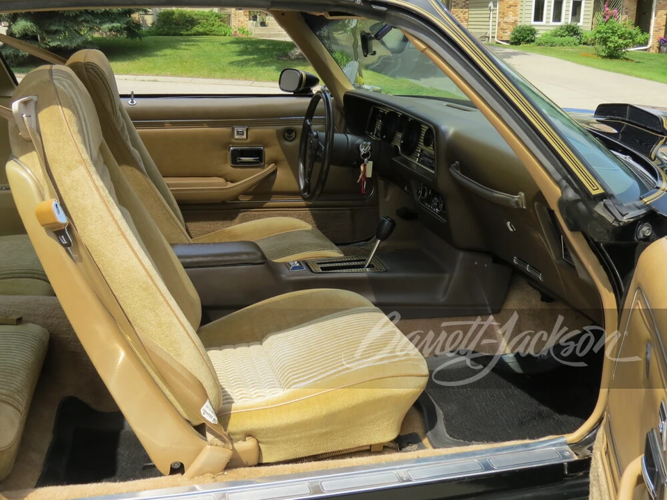 1981 Pontiac Firebird Trans Am 2nd Gen - Image 10 of 23