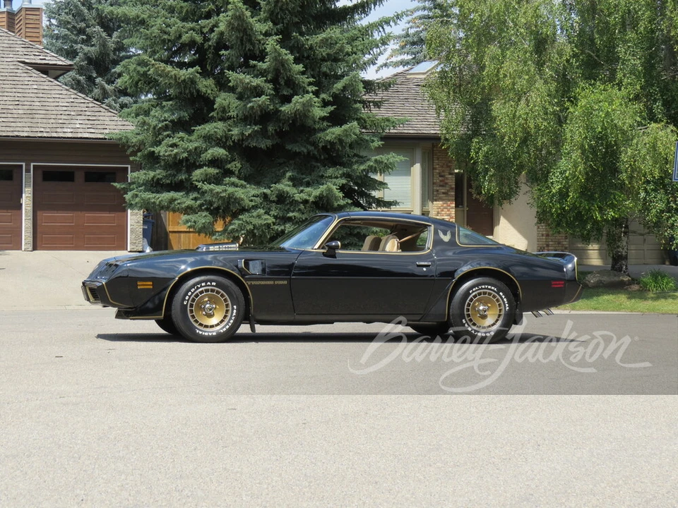 1981 Pontiac Firebird Trans Am 2nd Gen - Image 17 of 23