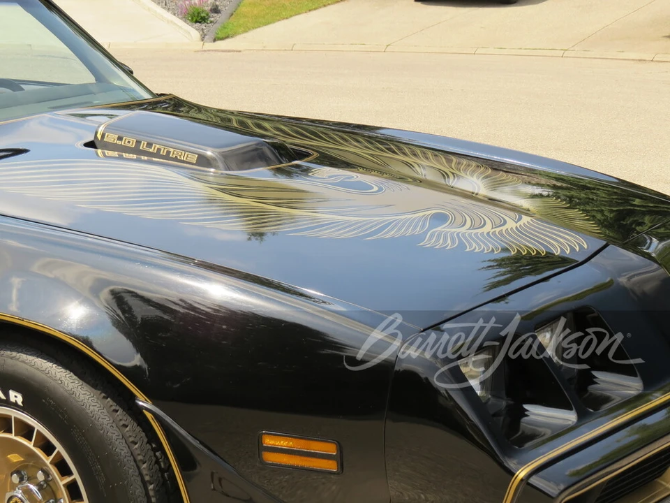 1981 Pontiac Firebird Trans Am 2nd Gen - Image 16 of 23