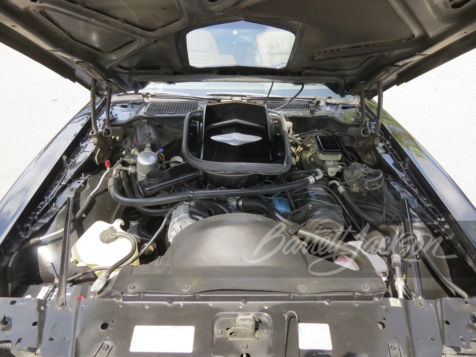 1981 Pontiac Firebird Trans Am 2nd Gen - Image 9 of 23