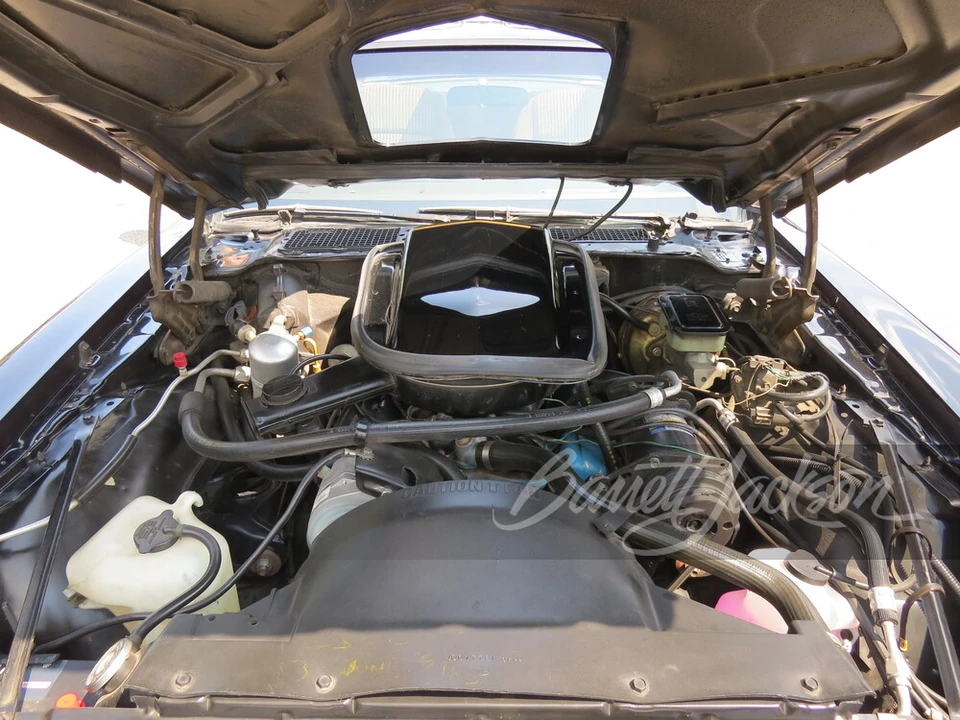1981 Pontiac Firebird Trans Am 2nd Gen - Image 7 of 23