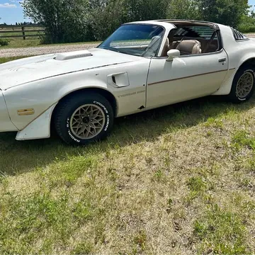 1981 Pontiac Firebird Trans Am