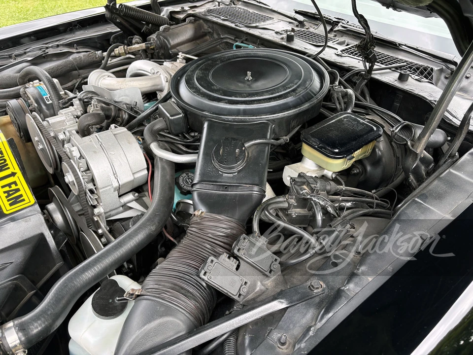 1981 Pontiac Firebird Trans Am 2nd Gen - Image 3 of 31