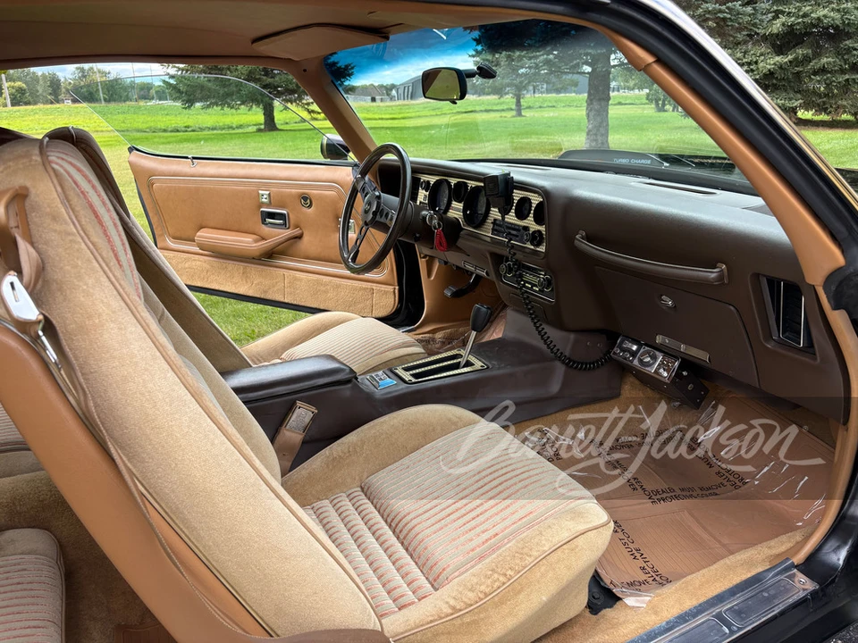 1981 Pontiac Firebird Trans Am 2nd Gen - Image 11 of 31