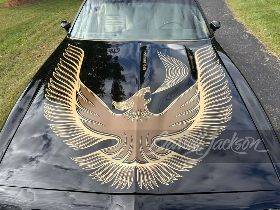 1981 Pontiac Firebird Trans Am 2nd Gen - Image 14 of 31