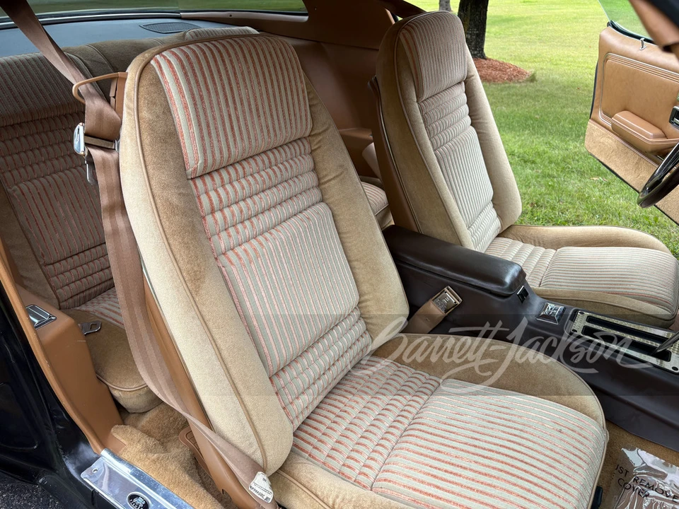 1981 Pontiac Firebird Trans Am 2nd Gen - Image 19 of 31