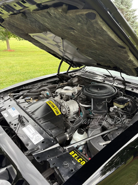 1981 Pontiac Firebird Trans Am 2nd Gen - Image 25 of 31