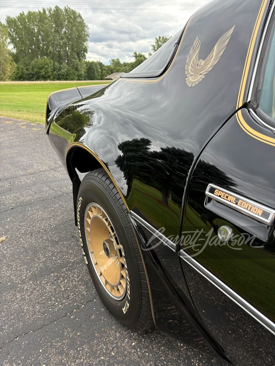 1981 Pontiac Firebird Trans Am 2nd Gen - Image 31 of 31