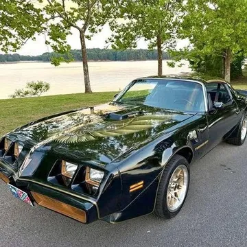 1981 Pontiac Firebird Trans Am
