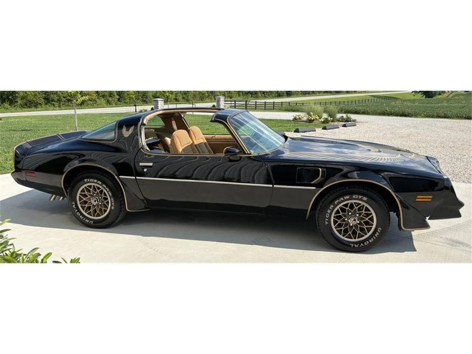 1981 Pontiac Firebird 2nd Gen - Image 4 of 31