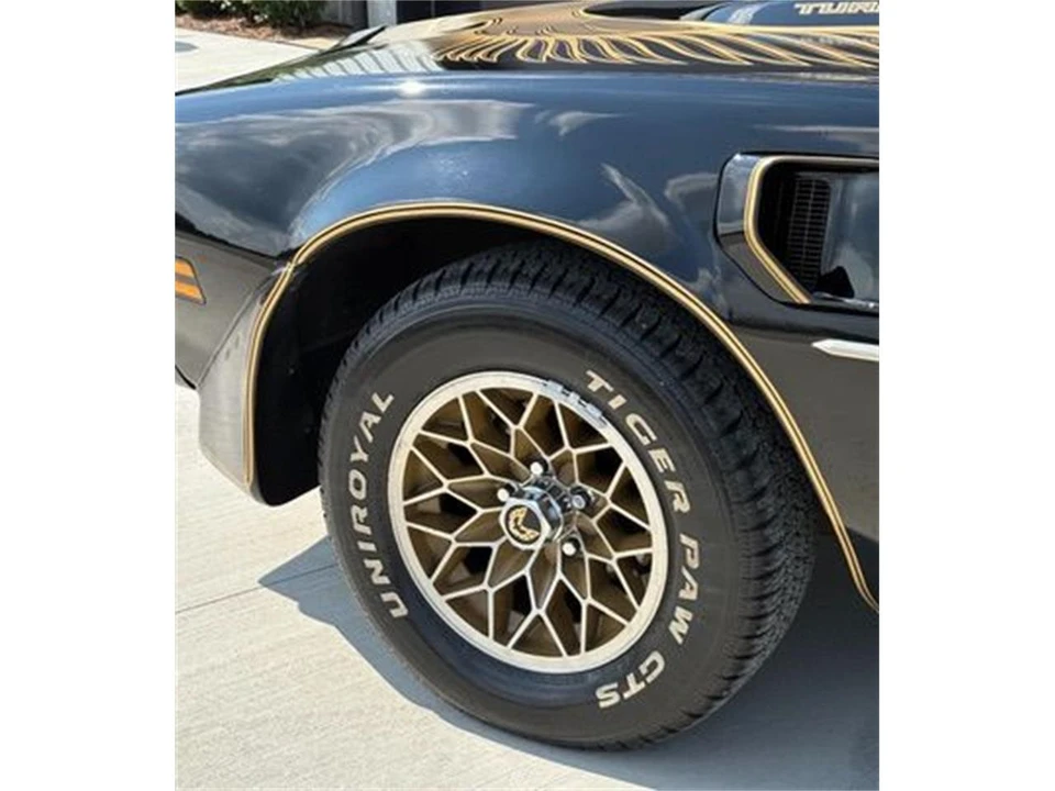 1981 Pontiac Firebird 2nd Gen - Image 8 of 31