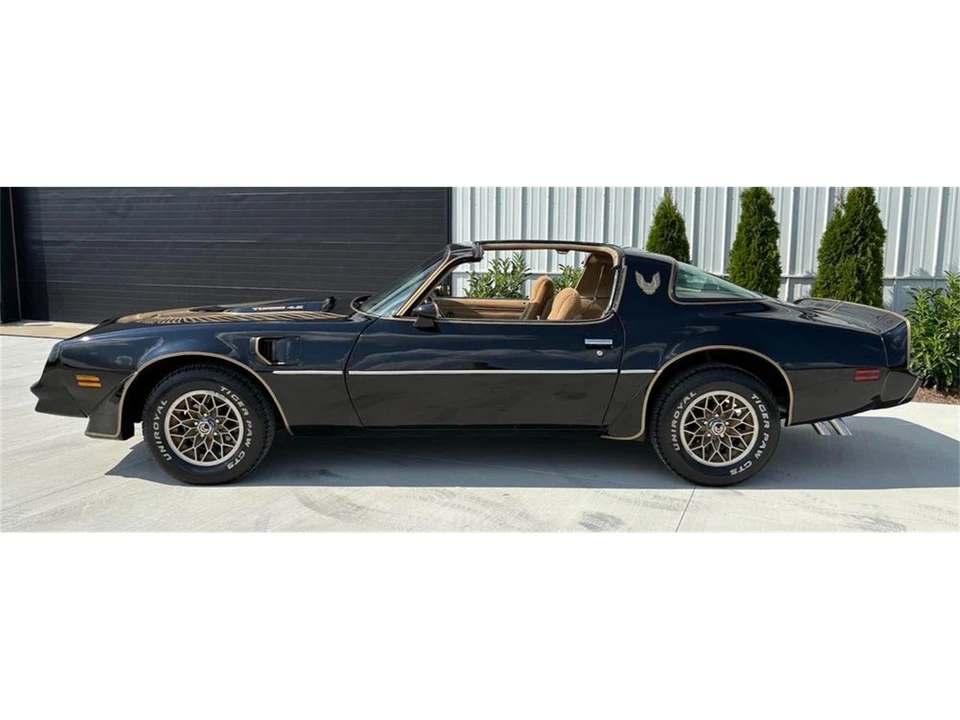 1981 Pontiac Firebird 2nd Gen - Image 9 of 31