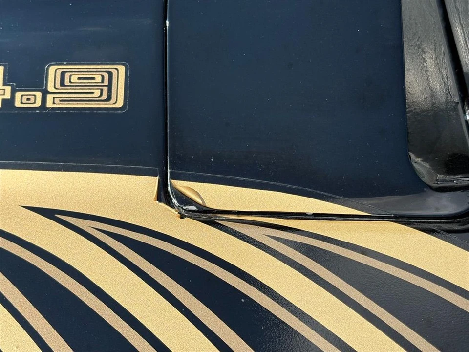 1981 Pontiac Firebird 2nd Gen - Image 10 of 31