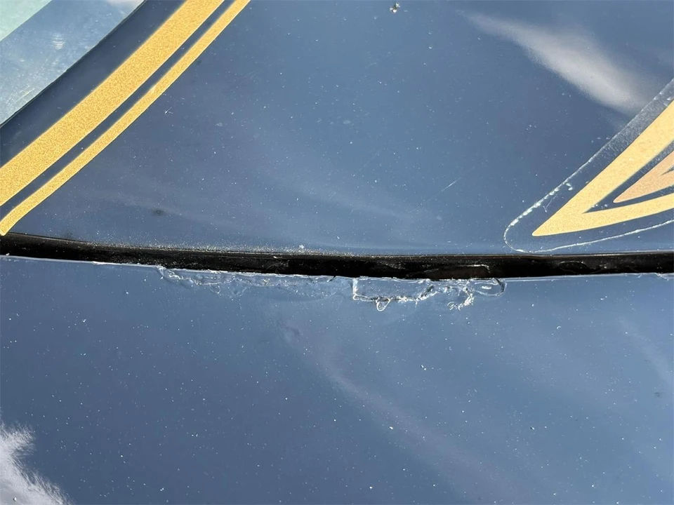 1981 Pontiac Firebird 2nd Gen - Image 14 of 31