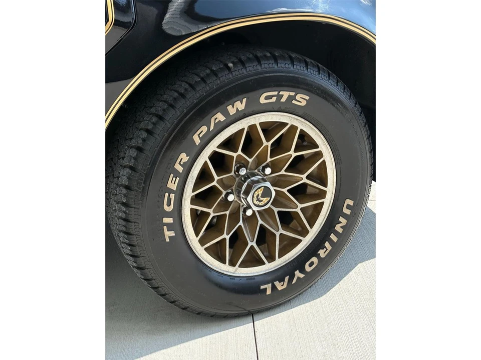 1981 Pontiac Firebird 2nd Gen - Image 16 of 31