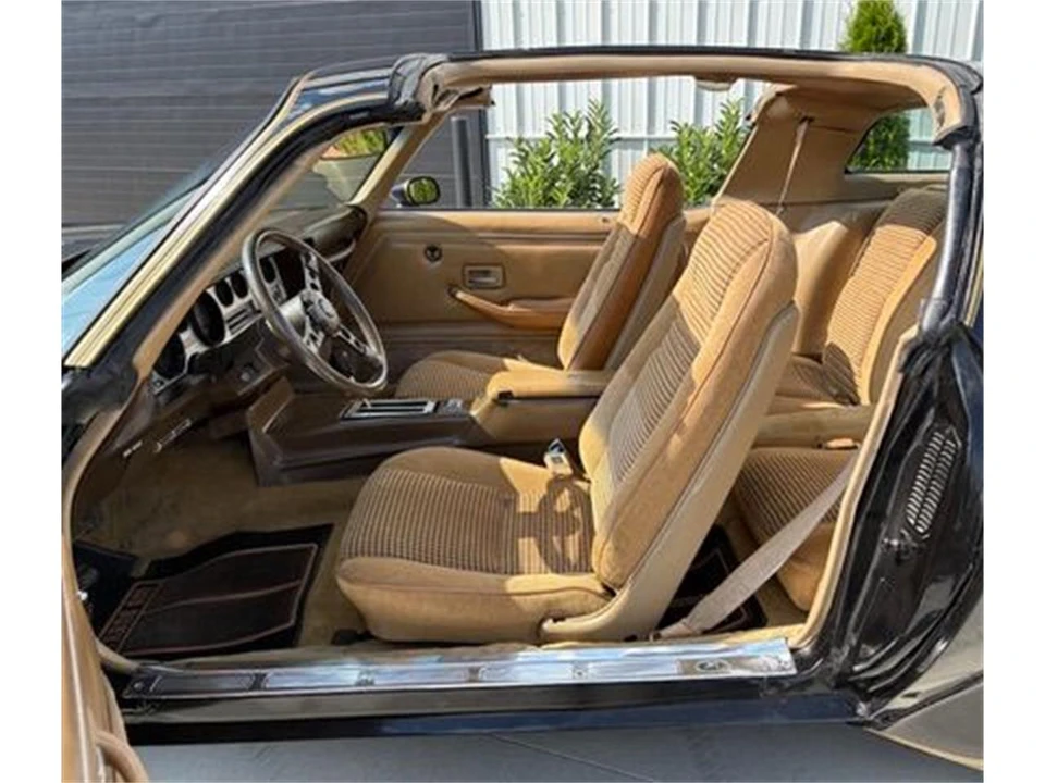 1981 Pontiac Firebird 2nd Gen - Image 19 of 31