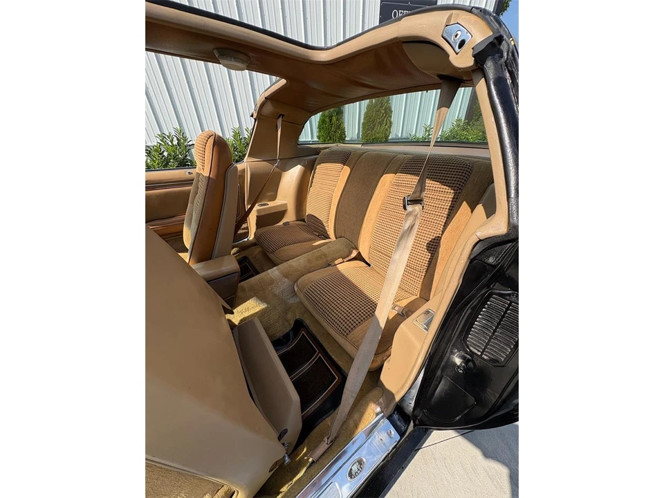 1981 Pontiac Firebird 2nd Gen - Image 26 of 31