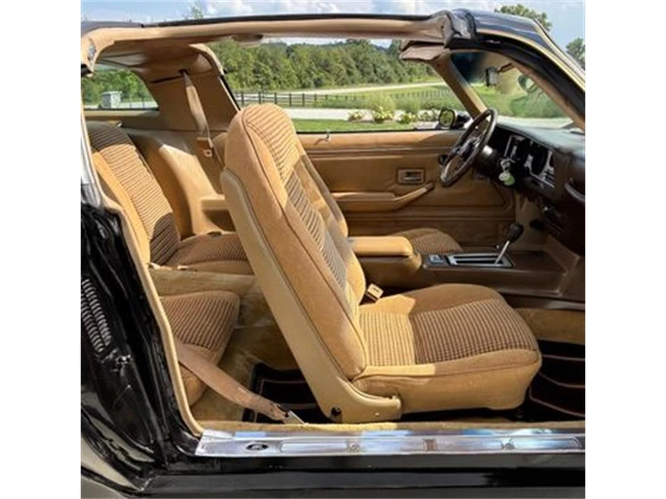 1981 Pontiac Firebird 2nd Gen - Image 27 of 31
