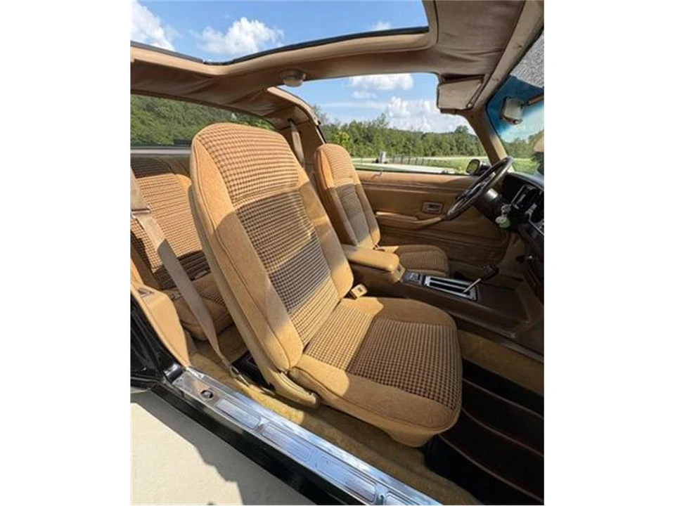1981 Pontiac Firebird 2nd Gen - Image 29 of 31