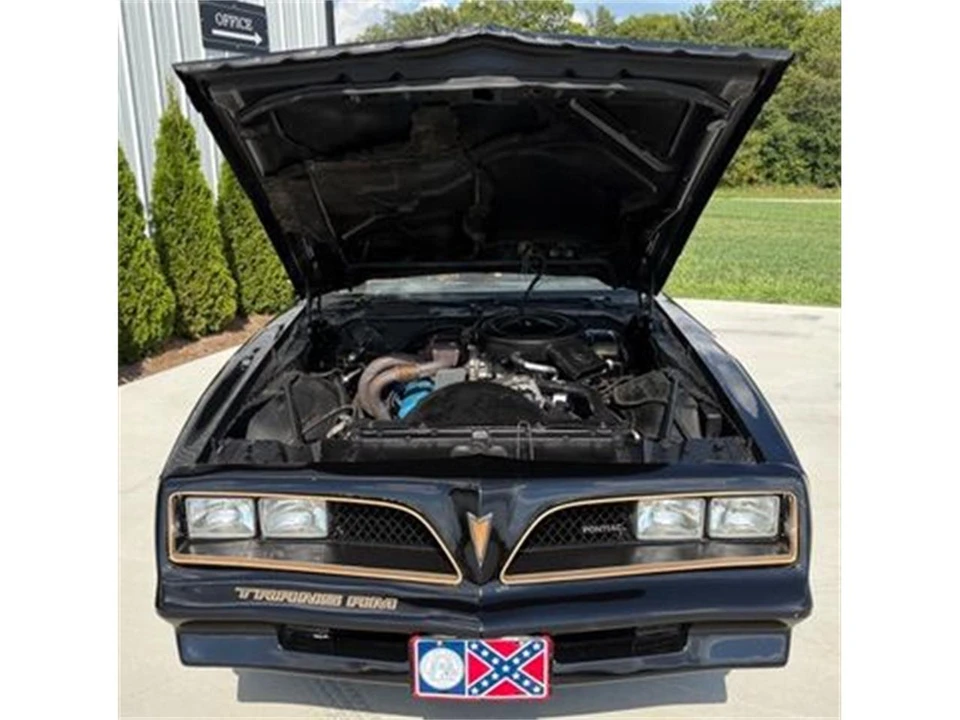 1981 Pontiac Firebird 2nd Gen - Image 31 of 31