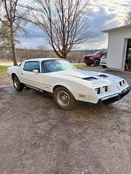 1981 Pontiac Firebird Formula