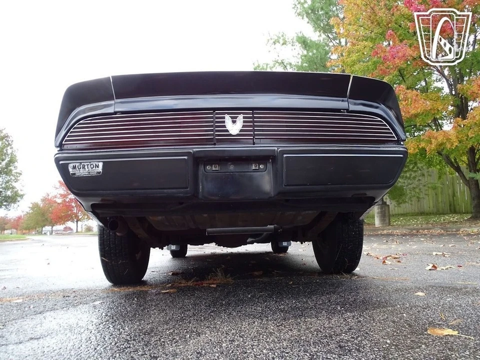 1981 Pontiac Firebird 2nd Gen - Image 16 of 21