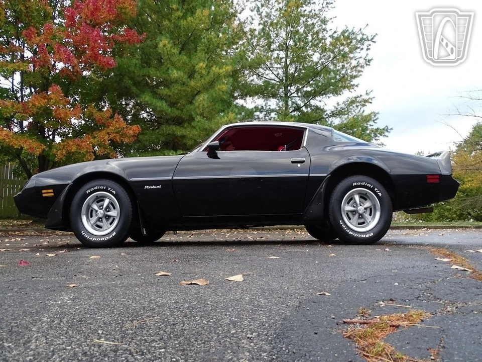 1981 Pontiac Firebird 2nd Gen - Image 9 of 21