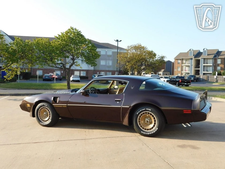 1981 Pontiac Firebird 2nd Gen - Image 6 of 12