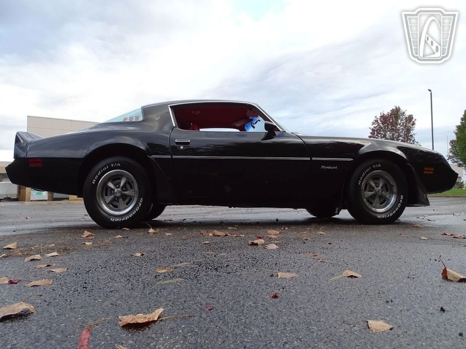 1981 Pontiac Firebird 2nd Gen - Image 21 of 21