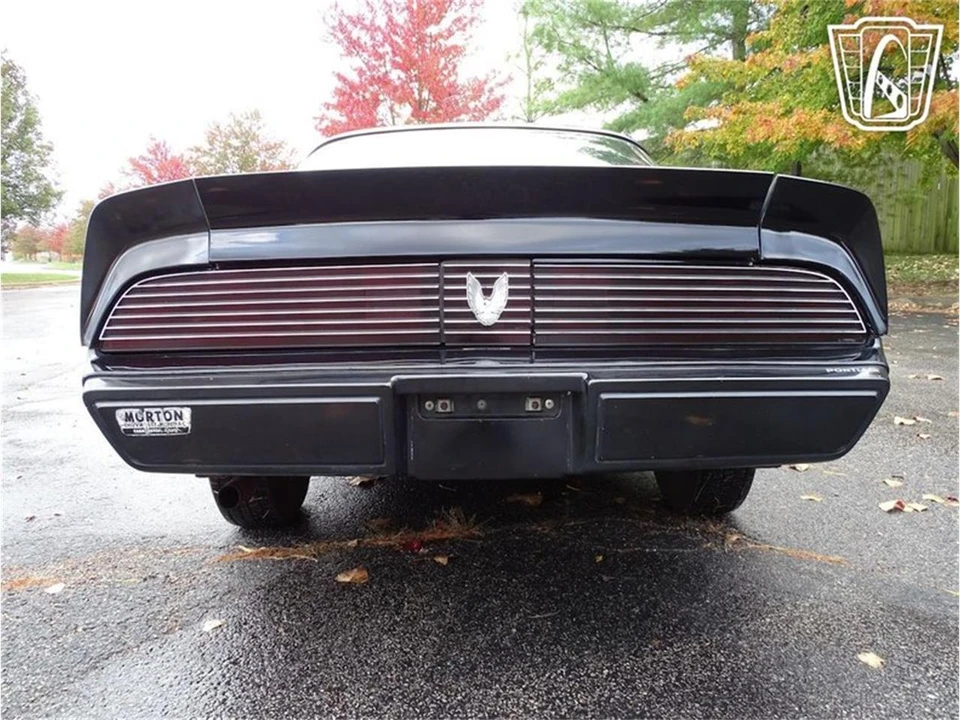 1981 Pontiac Firebird 2nd Gen - Image 13 of 31