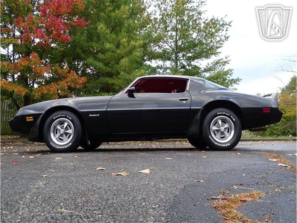 1981 Pontiac Firebird 2nd Gen - Image 8 of 31