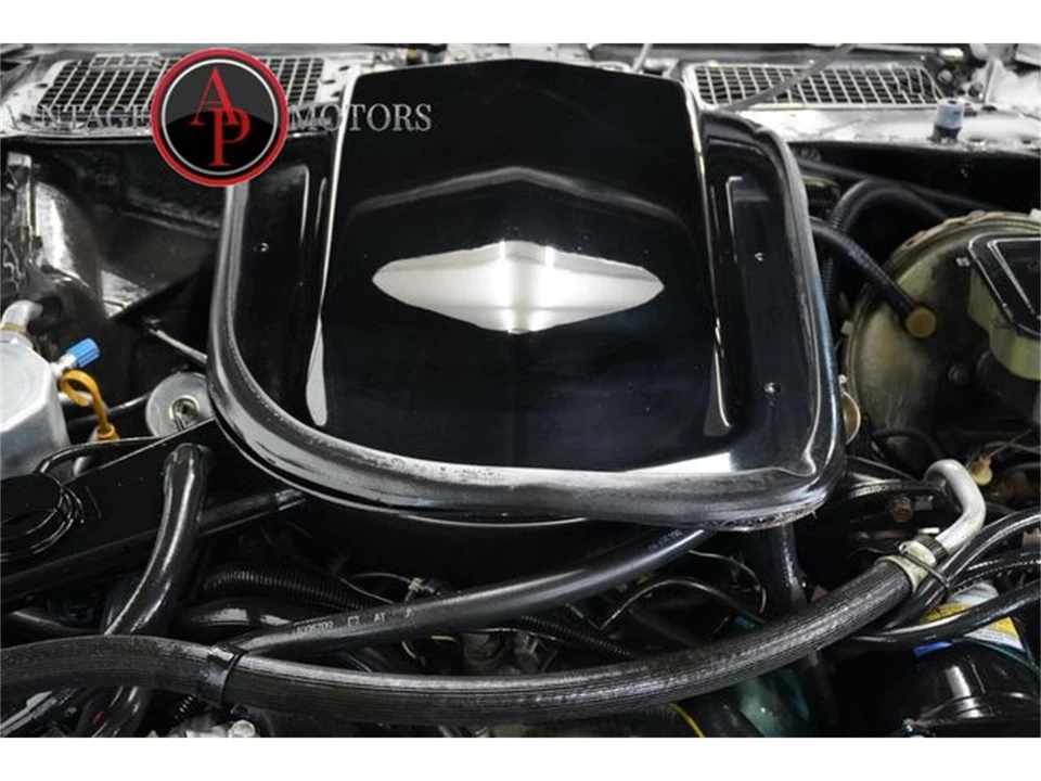 1981 Pontiac Firebird 2nd Gen - Image 3 of 31