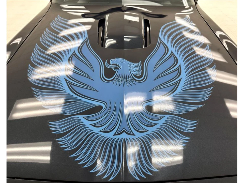 1981 Pontiac Firebird 2nd Gen - Image 10 of 31