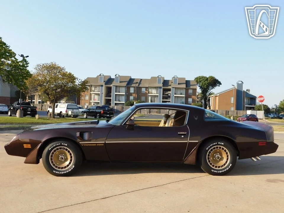 1981 Pontiac Firebird 2nd Gen - Image 5 of 12