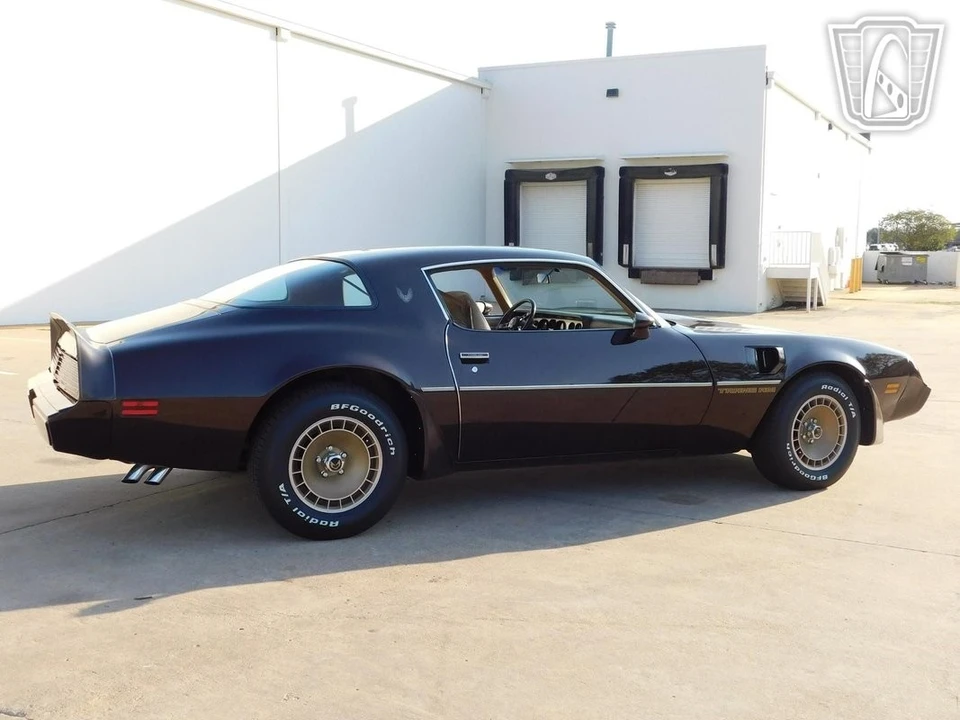 1981 Pontiac Firebird 2nd Gen - Image 15 of 21
